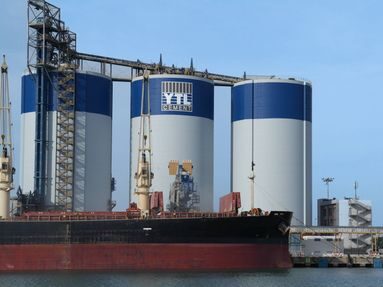 “杨忠礼集团”